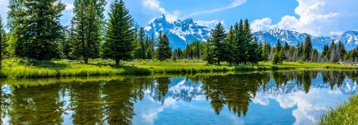 scenery on snake river floats