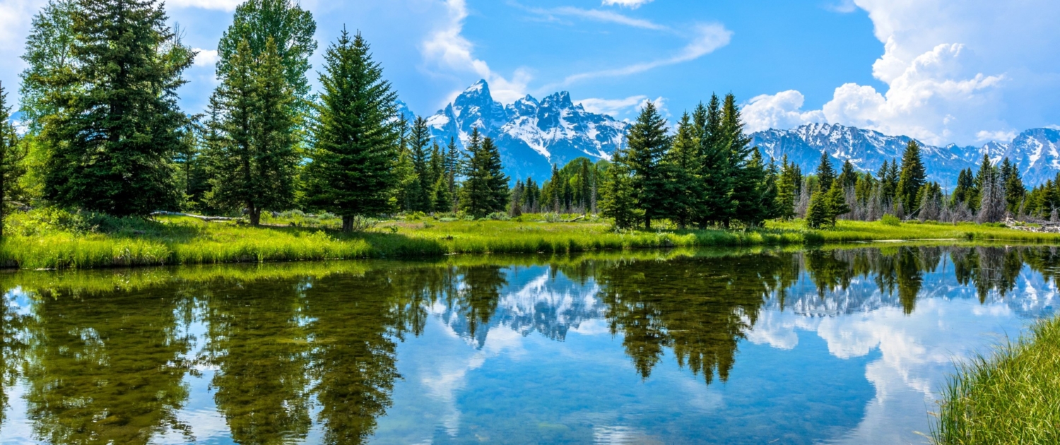 scenery on snake river floats