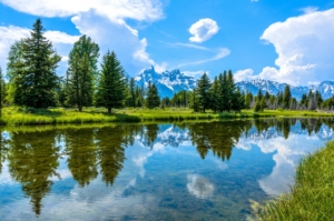 scenery on snake river floats
