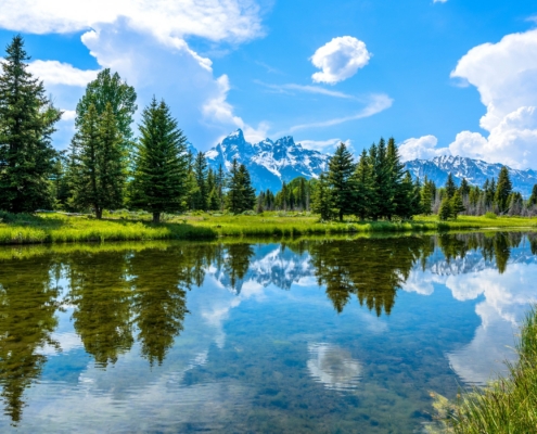 scenery on snake river floats